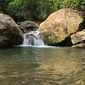 Michael Reubens - General Manager